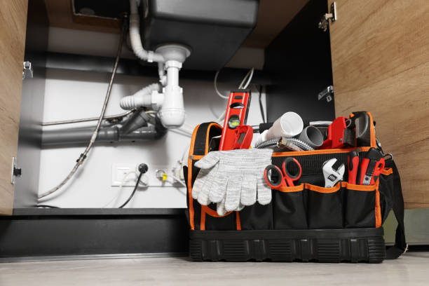 Best Plumbing Inspection Services  in Tremont, PA